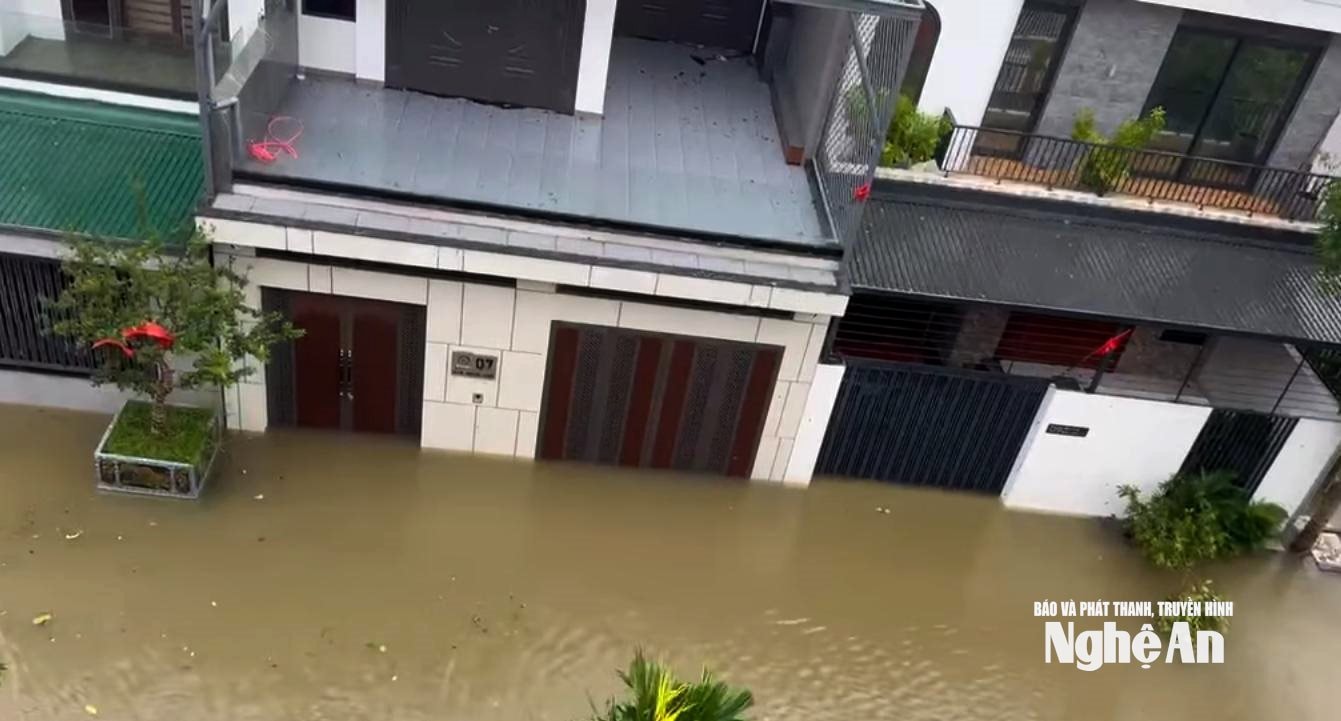 បន្ទាត់គូប