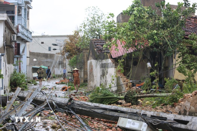 ttxvn-tan-hoang-sau-bao-so-10-o-thanh-hoa-8303870-9.jpg