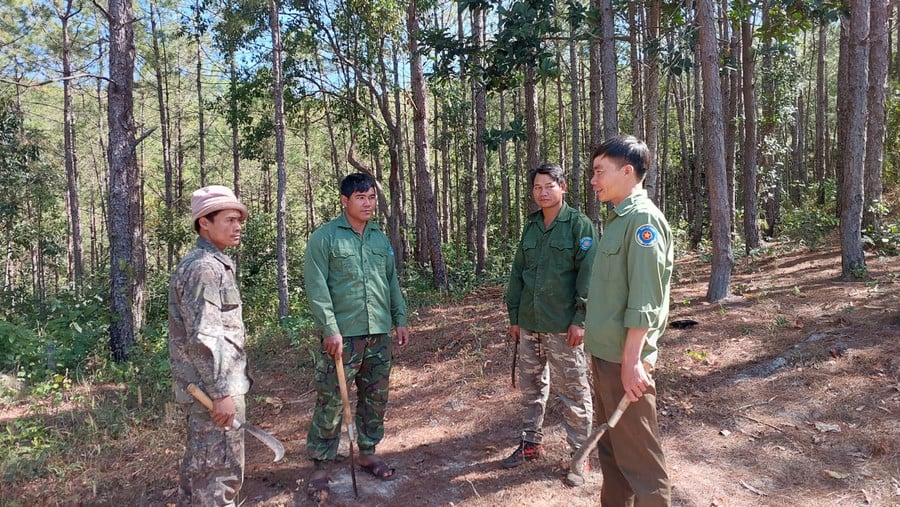 luc-luong-quan-ly-bao-ve-rung-chuyen-trach-ban-quan-ly-rung-phong-ho-dong-bac-chu-pah-phoi-hop-cung-cac-ho-nhan-khoan-quan-ly-bao-ve-rung-cung-tuan-tra.jpg