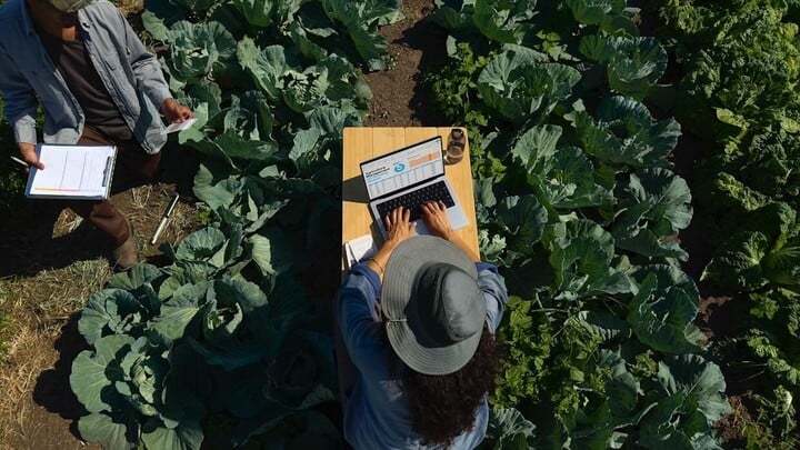 A farmer uses a Macbook in the middle of his field. (Source: Apple)