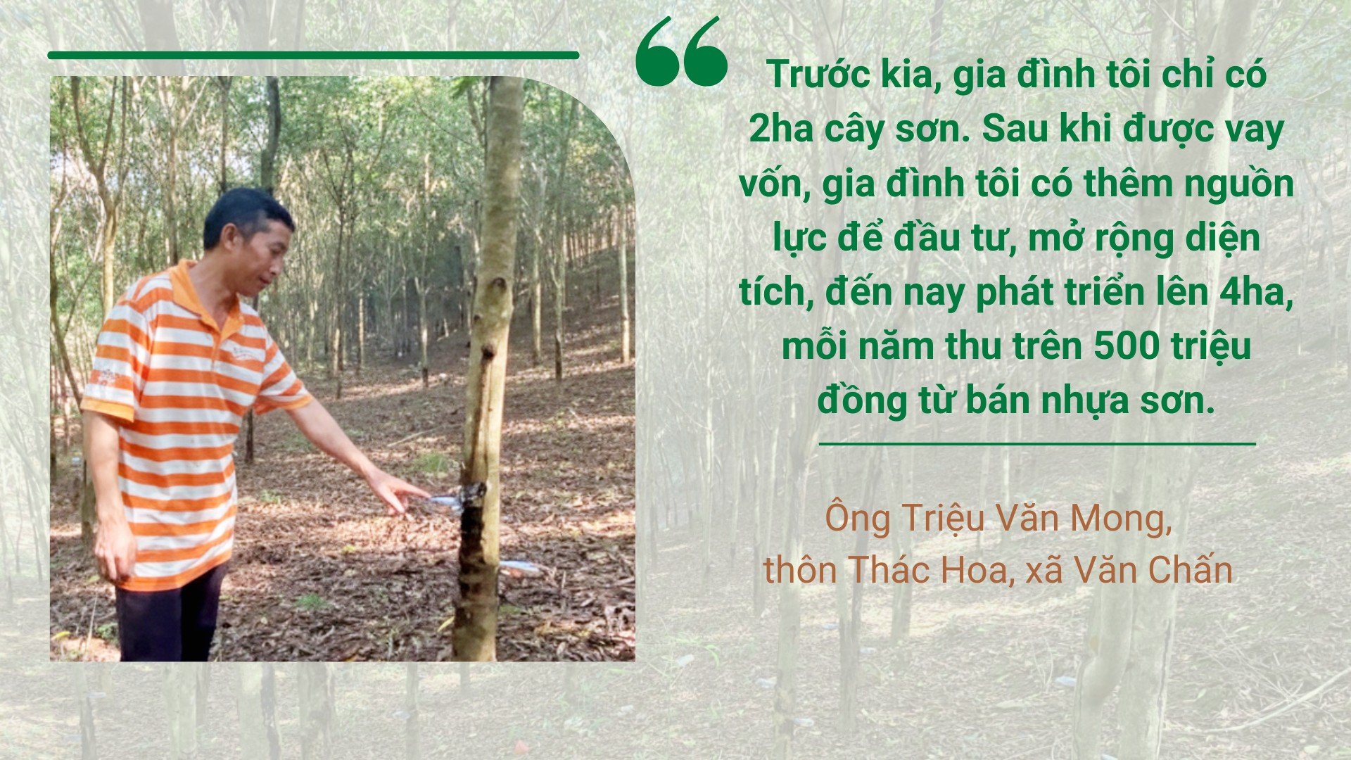 បងប្រុស-bai-2.png