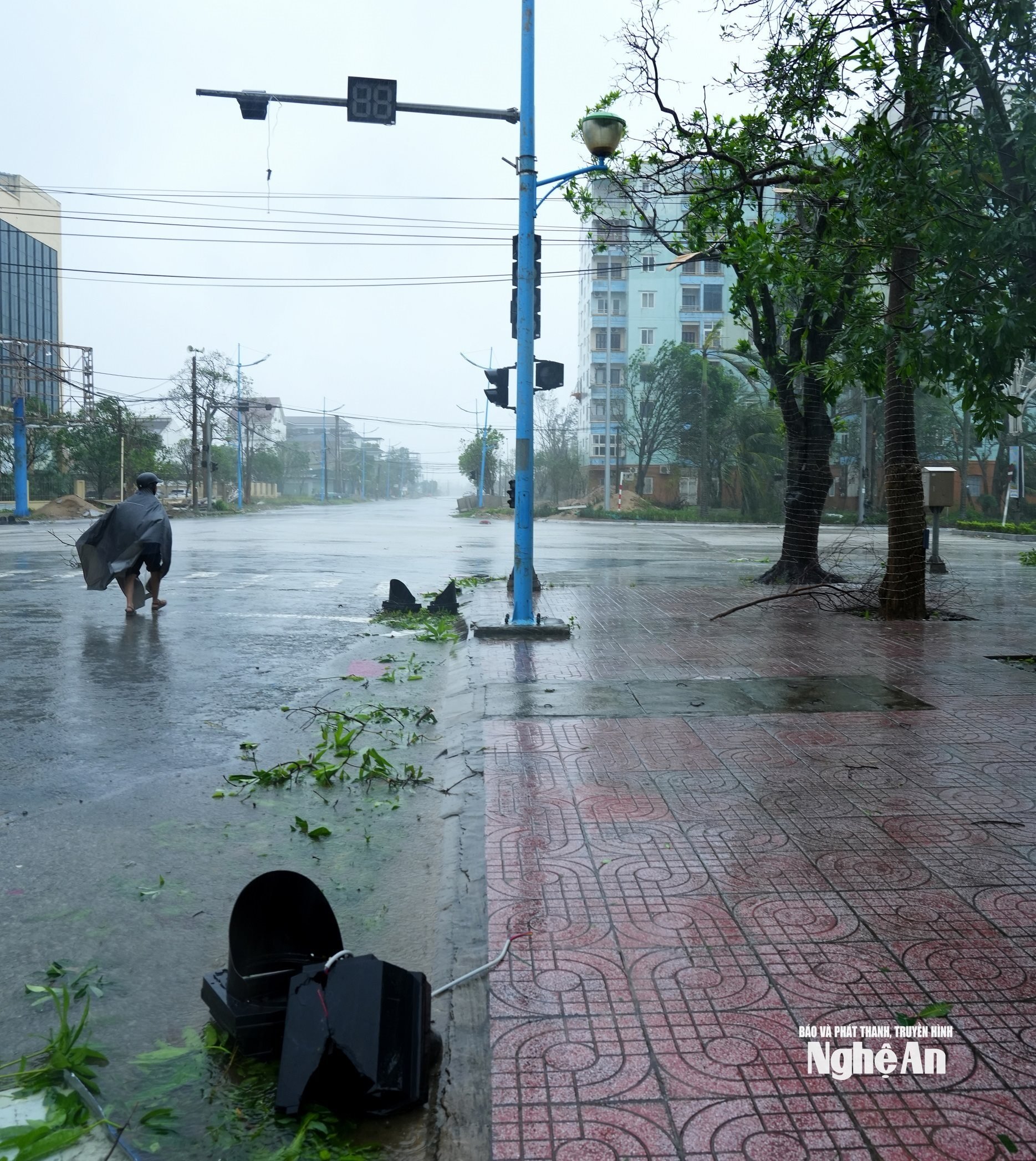 រូបថត Thanh Chung (7)