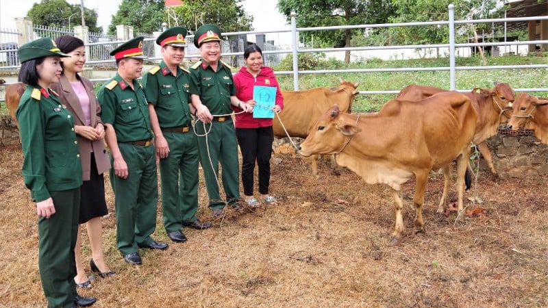 ចំណុចភ្លឺក្នុងការអនុវត្តកម្មវិធីគោលដៅជាតិនៅតំបន់ជនជាតិភាគតិច និងតំបន់ភ្នំ។