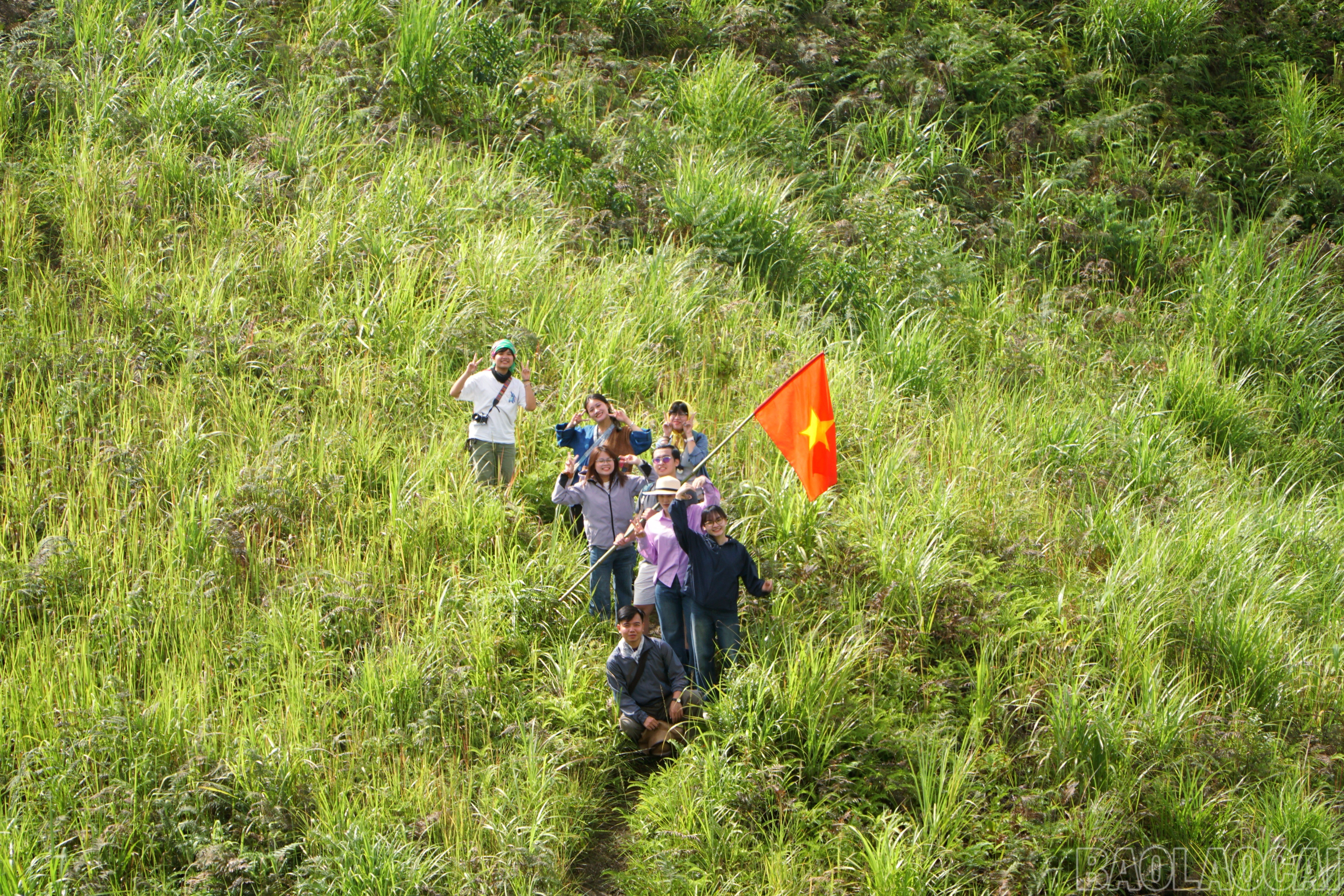 baolaocai-br_img-20250902-161005.jpg
