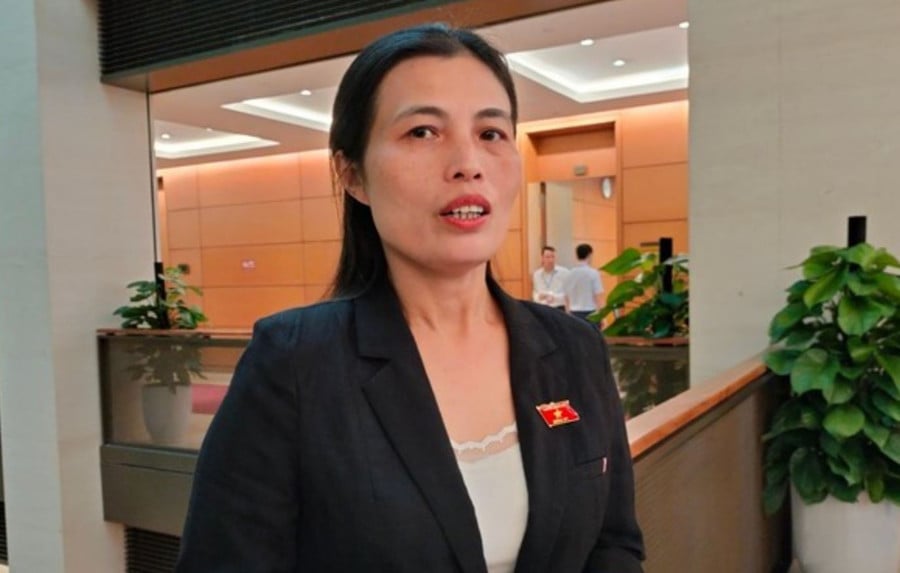 vun-tri-tue-vung-bien-cuong-3.jpg