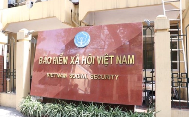 Bổ nhiệm Hội đồng quản lý bảo hiểm xã hội- Ảnh 1.