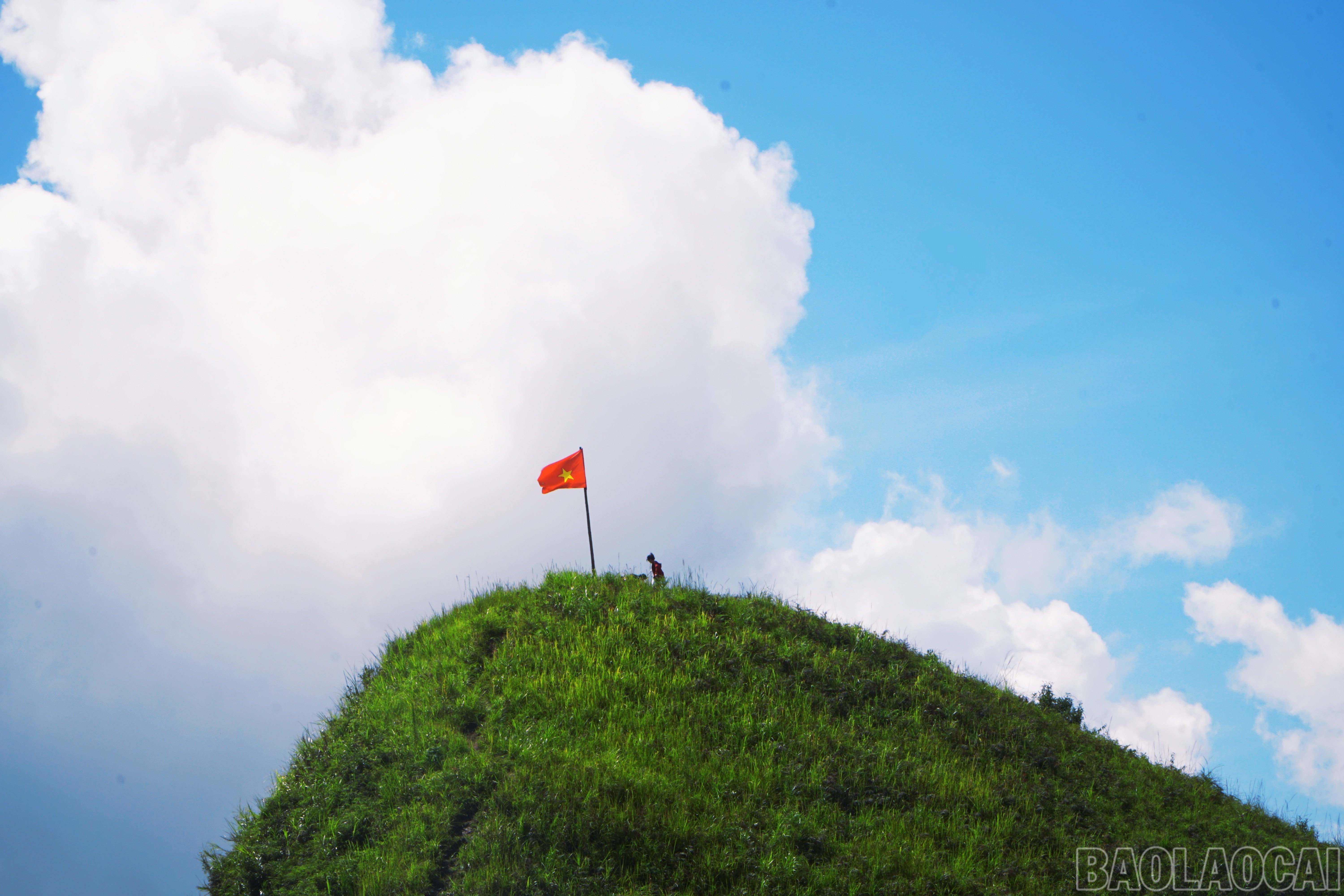 baolaocai-br_img-20250902-160835.jpg