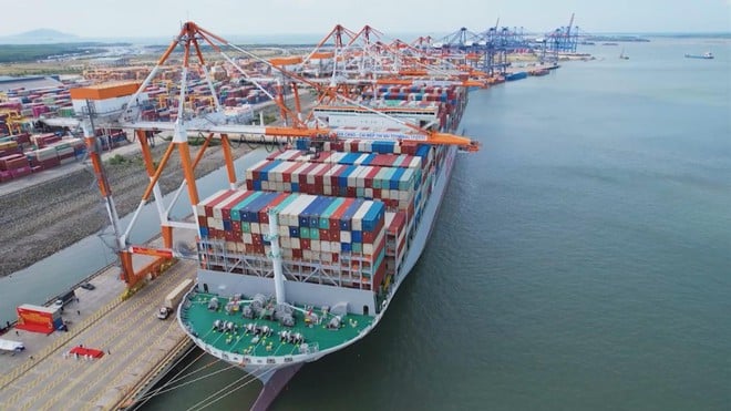 Khơi dậy tiềm năng, nâng tầm hội nhập kinh tế biển phía Đông TP.HCM - Ảnh 3.