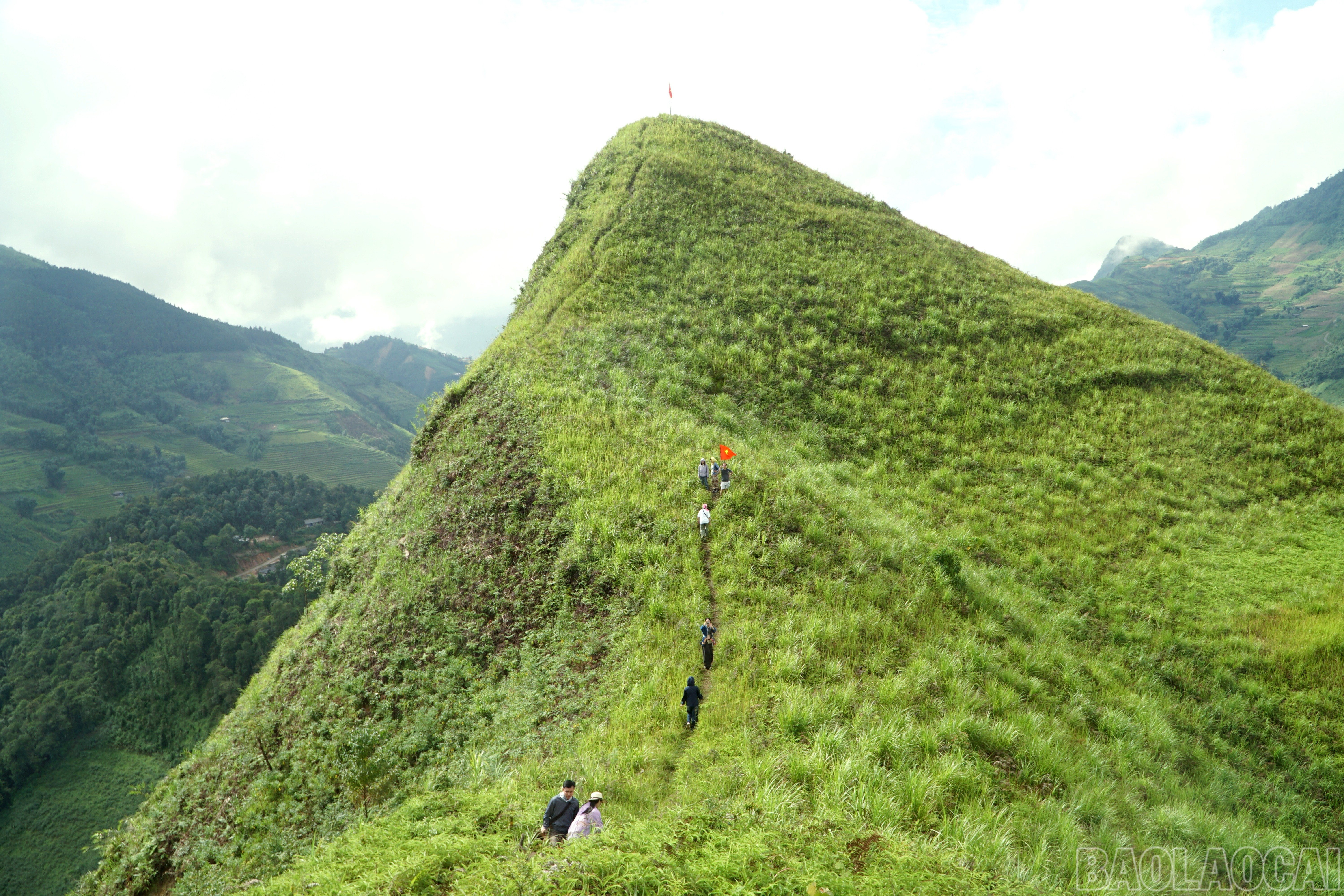 baolaocai-br_img-20250902-161329.jpg