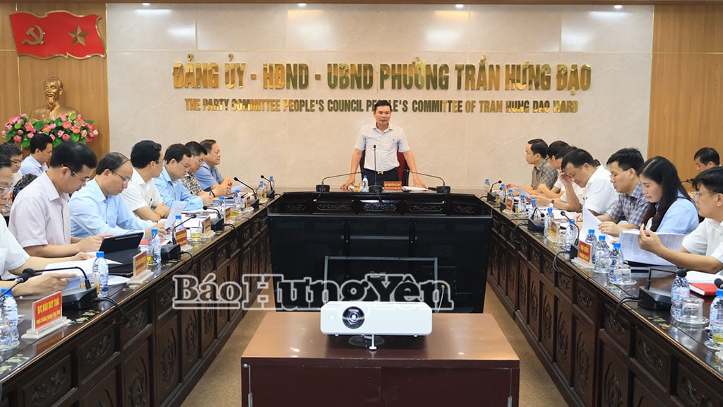 Comrade Nguyen Le Huy, Member of the Provincial Party Standing Committee, Vice Chairman of the Provincial People's Committee spoke at the inspection session.