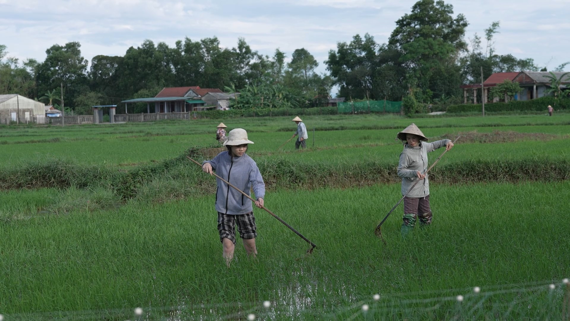 ក្រៅពីការសិក្សា ធ្វើការក្រៅម៉ោង និងមើលថែបងប្អូនរបស់នាង… Duyen ព្យាយាមជួយម្តាយរបស់នាងនូវអ្វីៗដែលនាងអាចធ្វើបាន។