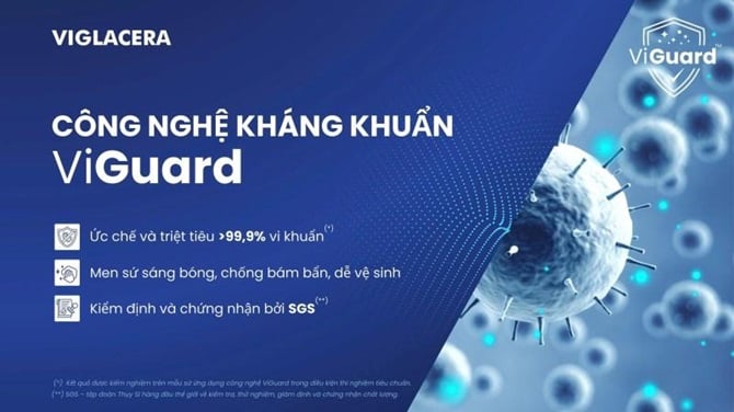 ViGuard™ は、米国、オーストラリア、アラビアへの製品輸出に成功した直後に、国内市場で販売される製品として正式に市場に参入しました。