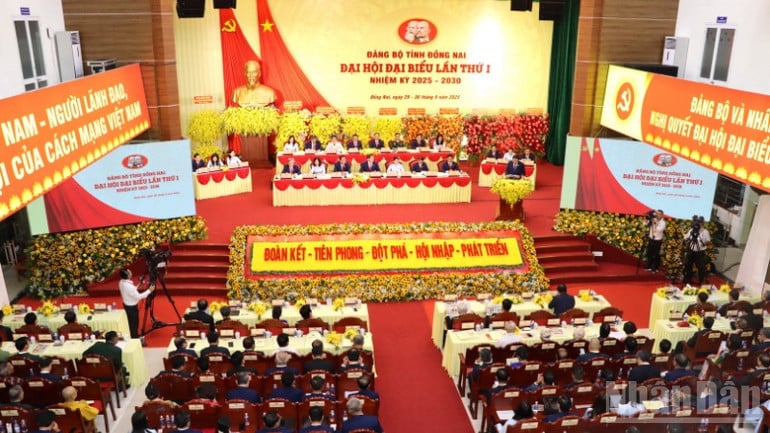 ndo_br_img-0290-resize-9985.jpg