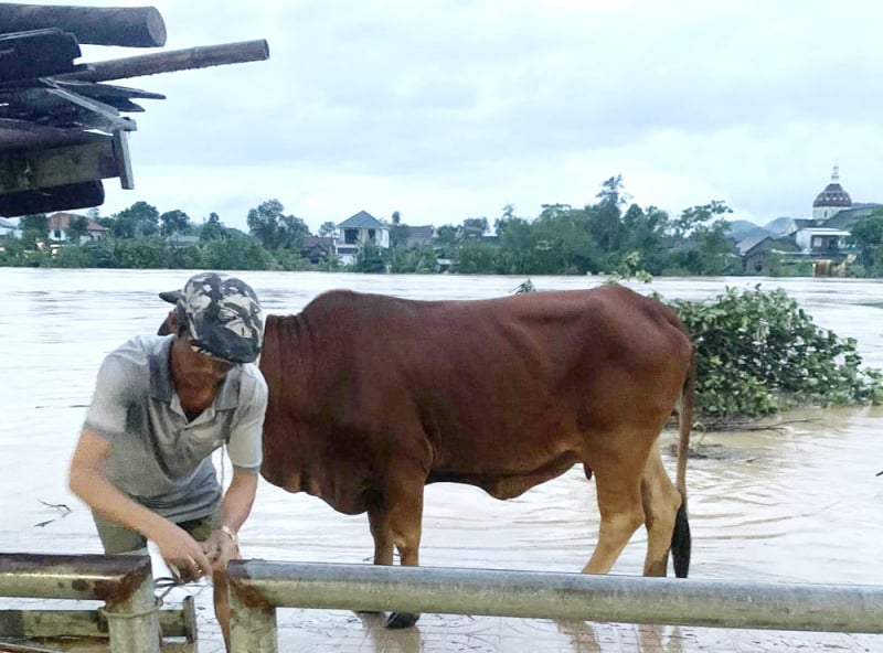 After storm No. 10, Ha Tinh people struggle with floods -0