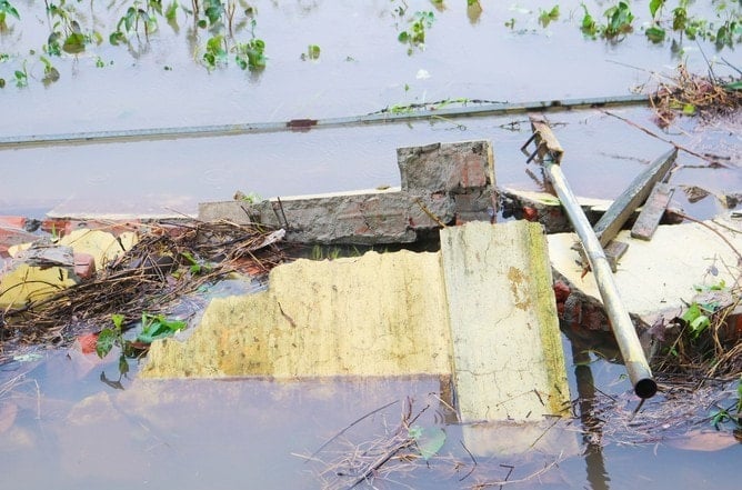 quoc-oai2.jpg
