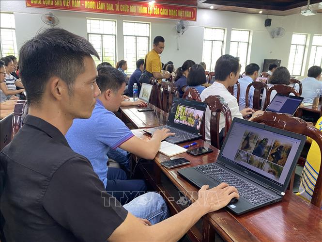 Photo caption