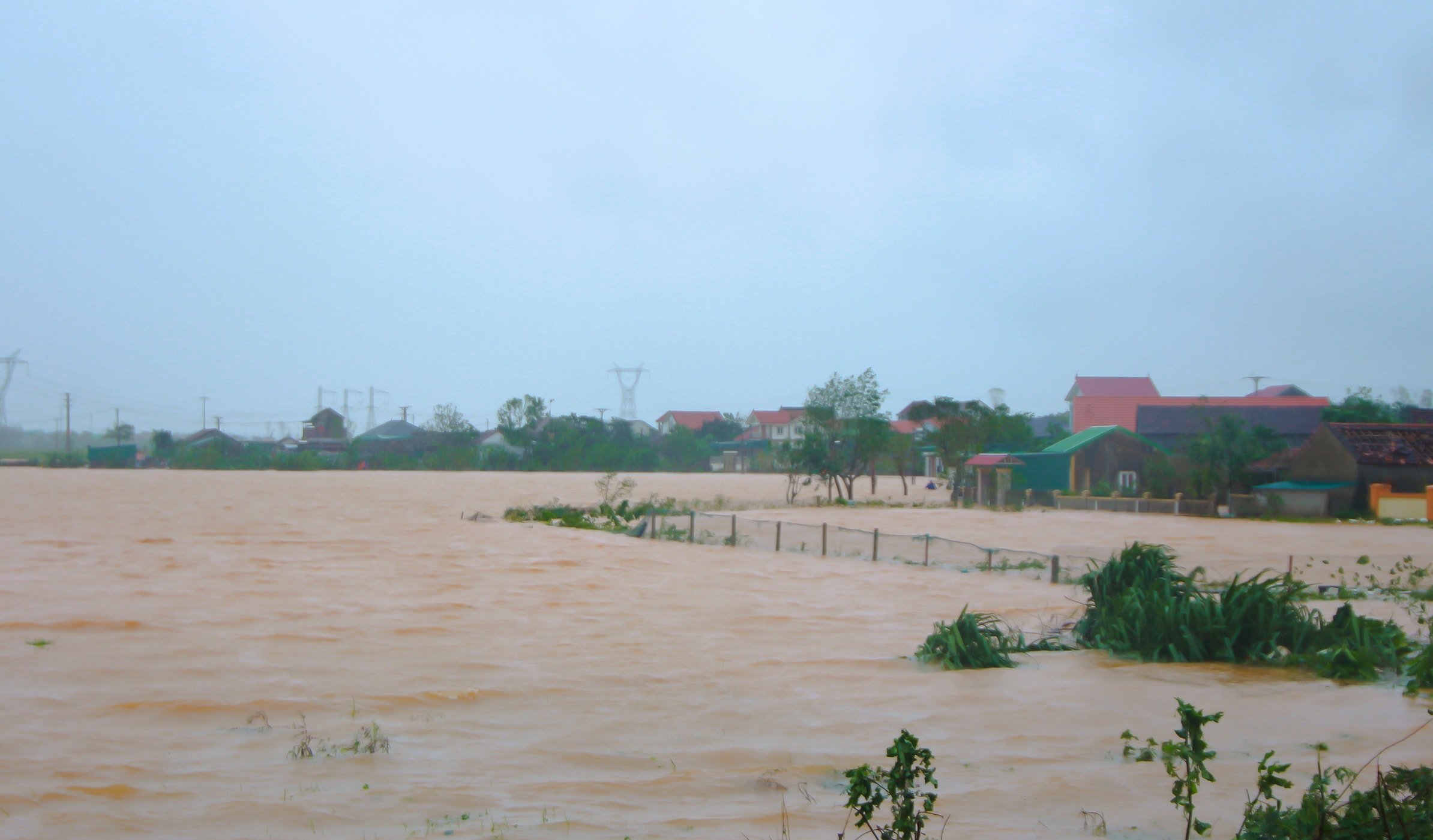 អង់គ្លេស៖ ព័ត៌មាន