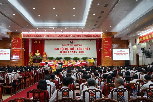 Đến 2030 thu nhập bình quân đầu người ở Đồng Tháp đạt hơn 115 triệu đồng- Ảnh 1.