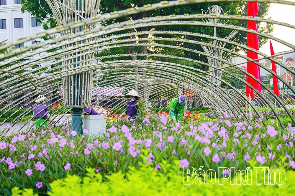 វួដ Vinh Phuc ផ្តោតលើការកសាងផ្លូវស៊ីវិល័យ