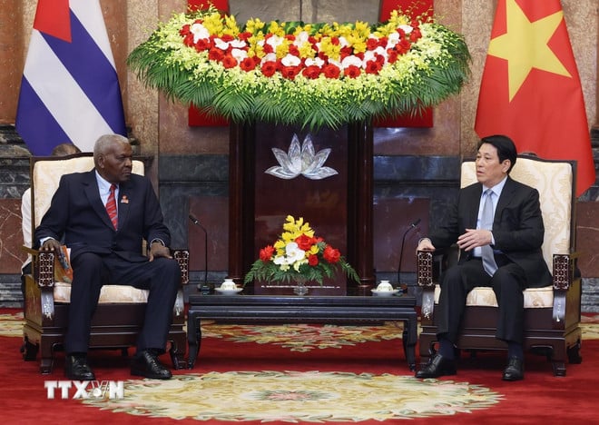 ttxvn-president-luong-tiep-chu-chich-national-assembly-cua-4.jpg