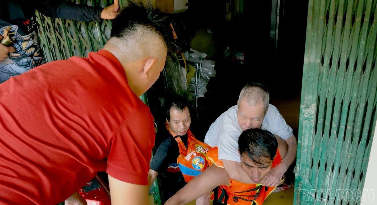baolaocai-br_z7064850340099-495155aca8885a656b07c8888f5941fe.jpg