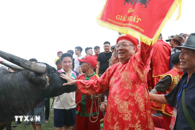ttxvn-hai-phong-choi-trau-2.jpg