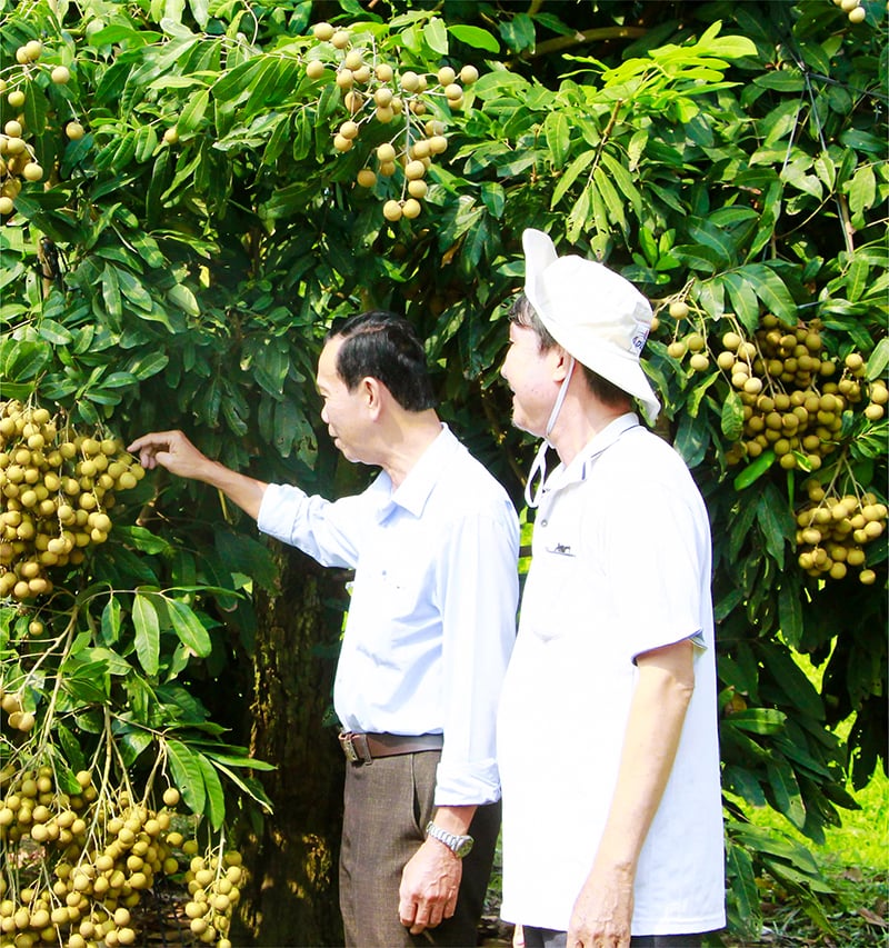 Spreading crops gives farmers the opportunity to sell agricultural products at high prices.