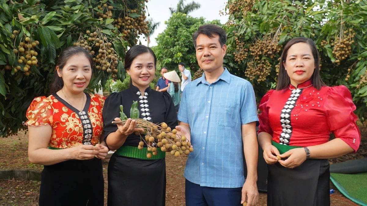 ខ្ញុំជឿអ្នក។