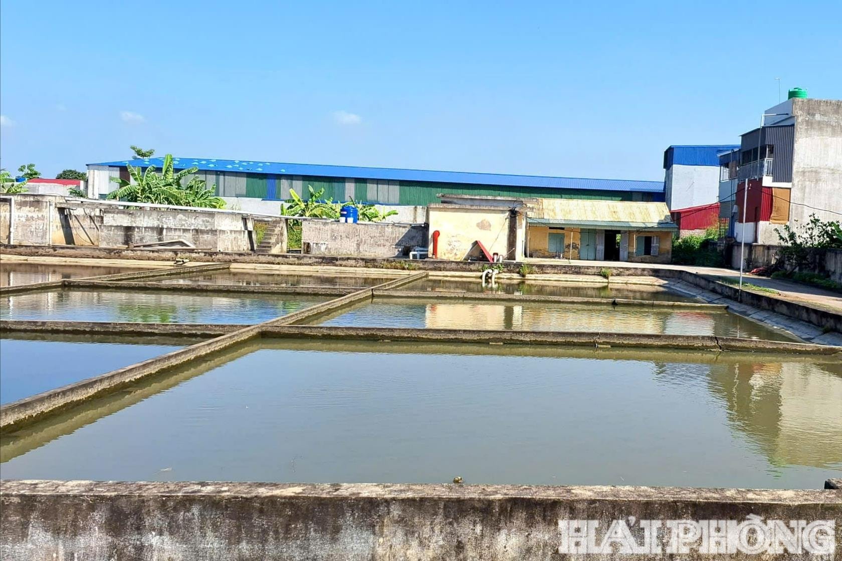 water-sac-tan-minh-4-(1).jpg