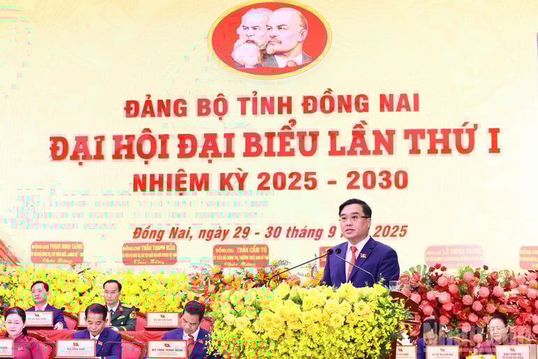ndo_br_1234.jpg