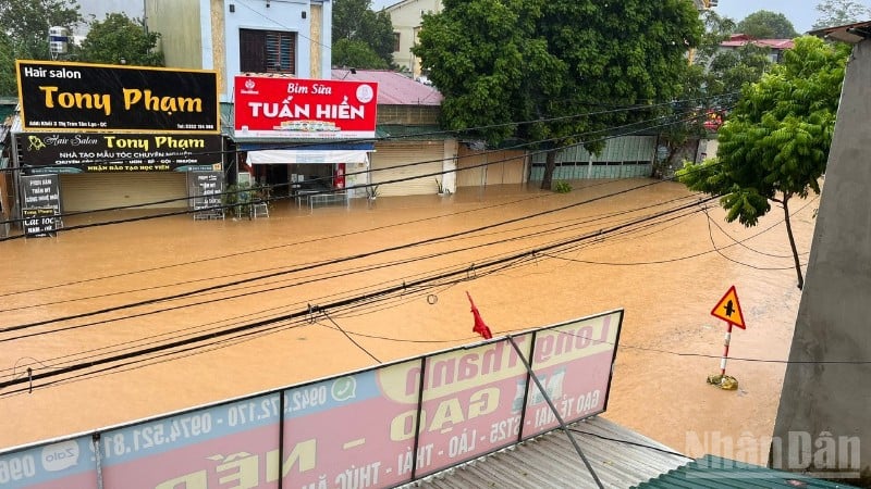 រូបថតគំនូរ។