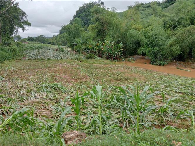 ចំណងជើងរូបថត