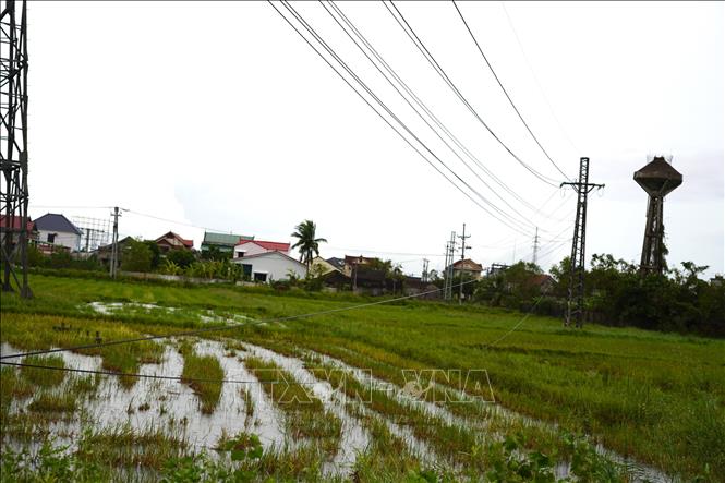 Photo caption