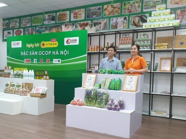 ocop-program-hanoi-city-expands-potential-and-opportunities-for-development-17-1722037120.jpg