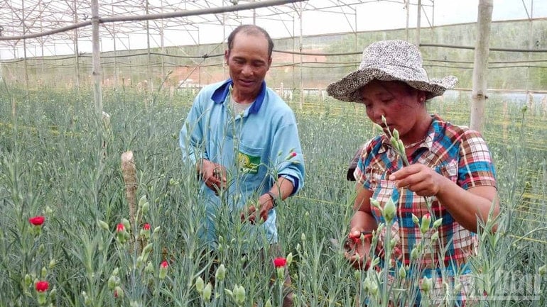 ndo_br_lam-dong-trien-khai-nhieu-chinh-sach-ho-tro-dong-bao-dan-toc-thieu-so.jpg