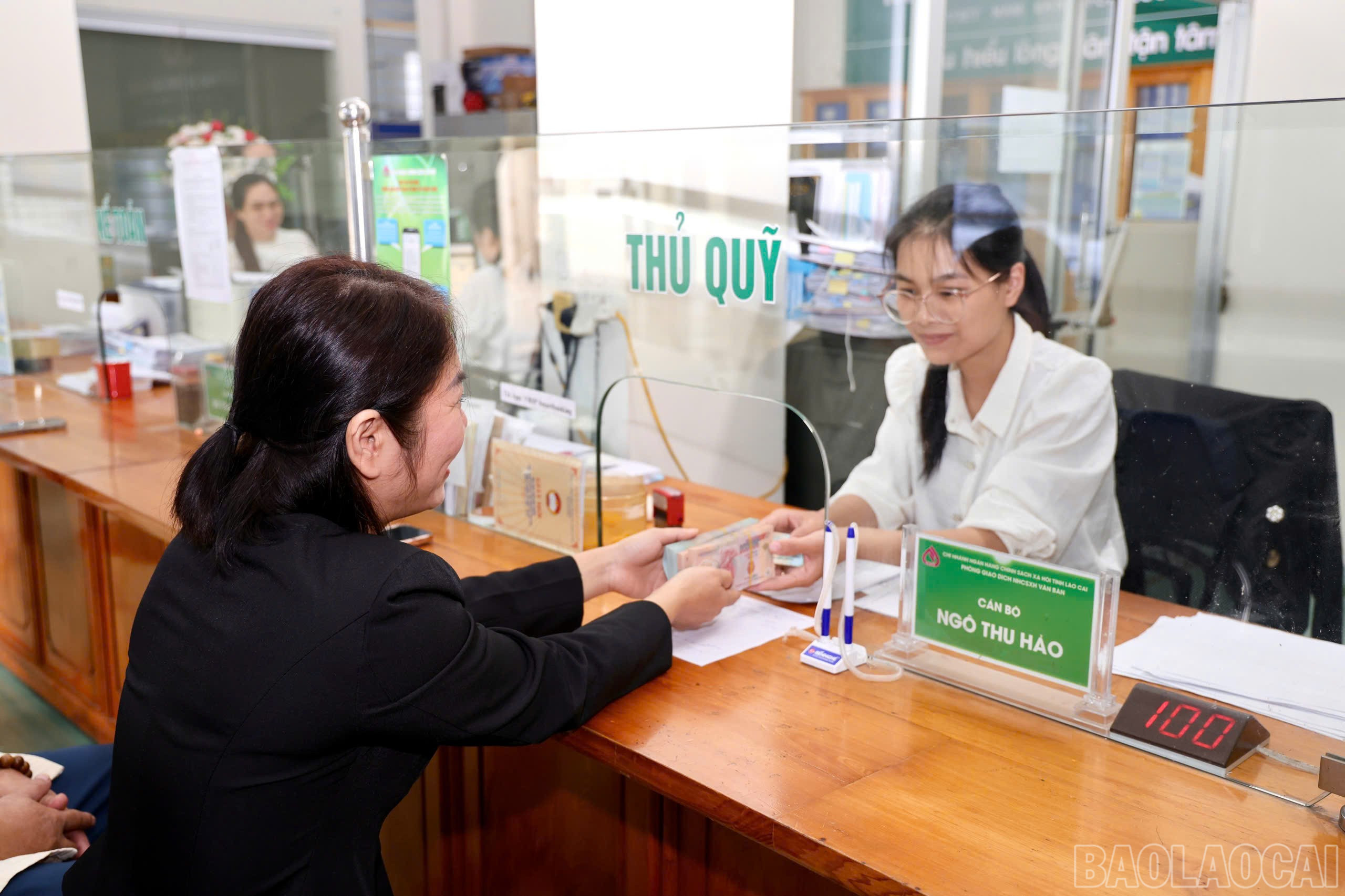 baolaocai-br_nhcs-1.jpg
