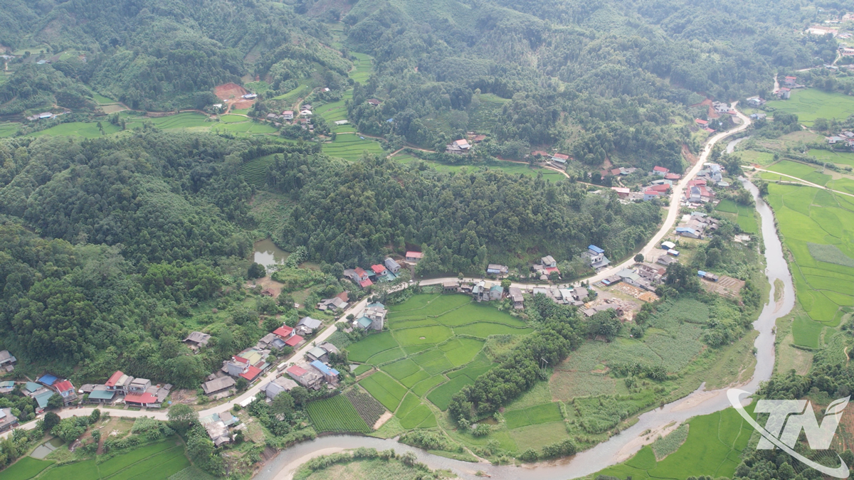 Many mountain villages are changing their appearance, people's lives are increasingly improving thanks to the development of the forest economy.