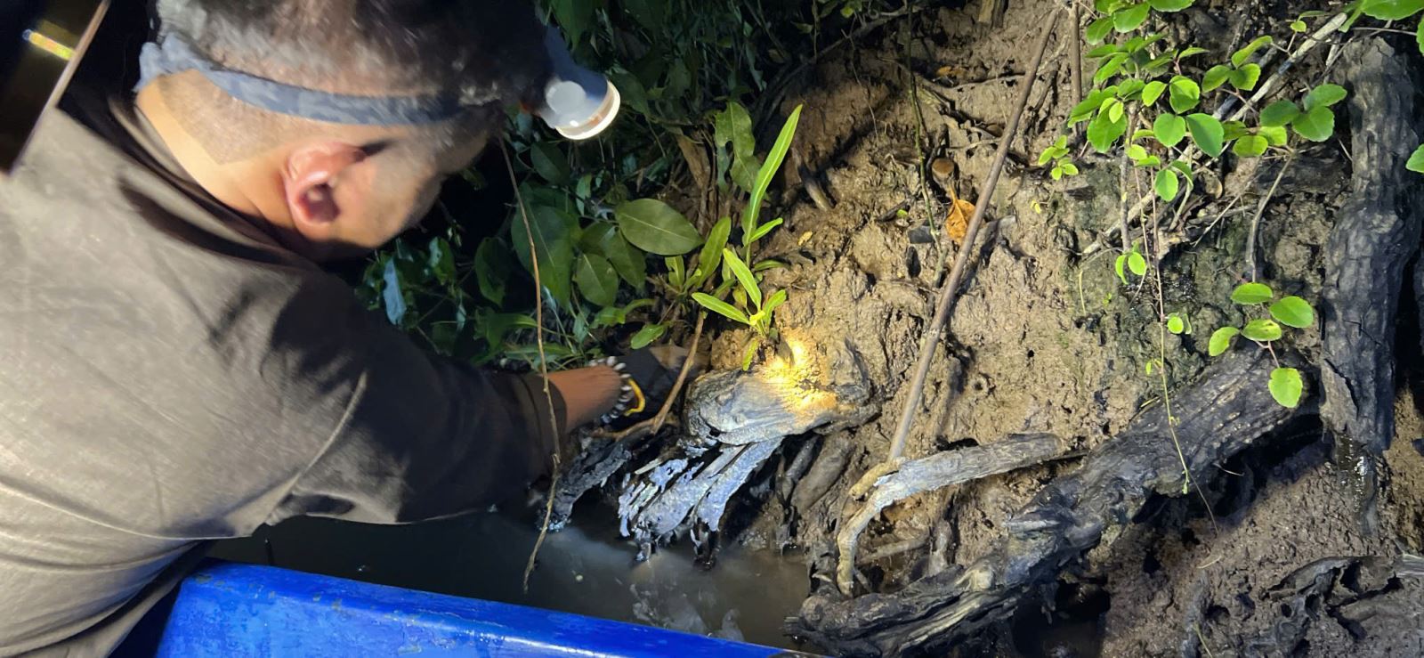 ចំណងជើងរូបថត