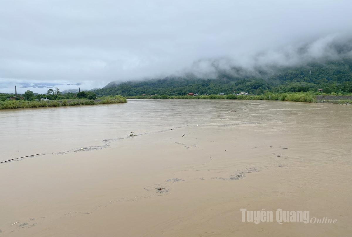 កម្ពស់ទឹកនៅតំបន់ទន្លេ Lo តាមរយៈឃុំ Vi Xuyen កើនឡើង។