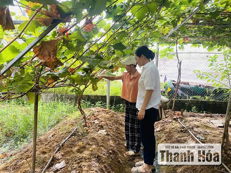 Improving the capacity of agricultural cooperatives