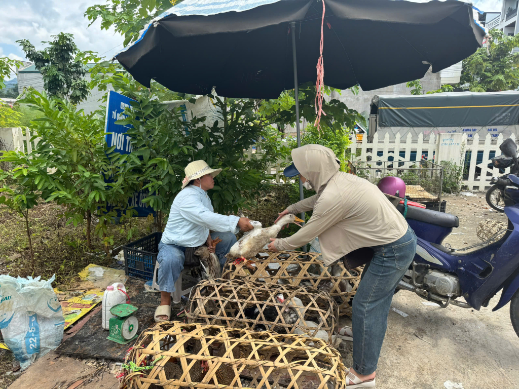 មនុស្ស​ជា​ច្រើន​ឆ្លៀត​ឱកាស​ទិញ​ទា​ដើម្បី​ត្រៀម​ធ្វើ​បុណ្យ​ពេញ​បូណ៌មី ខែ​កក្កដា។