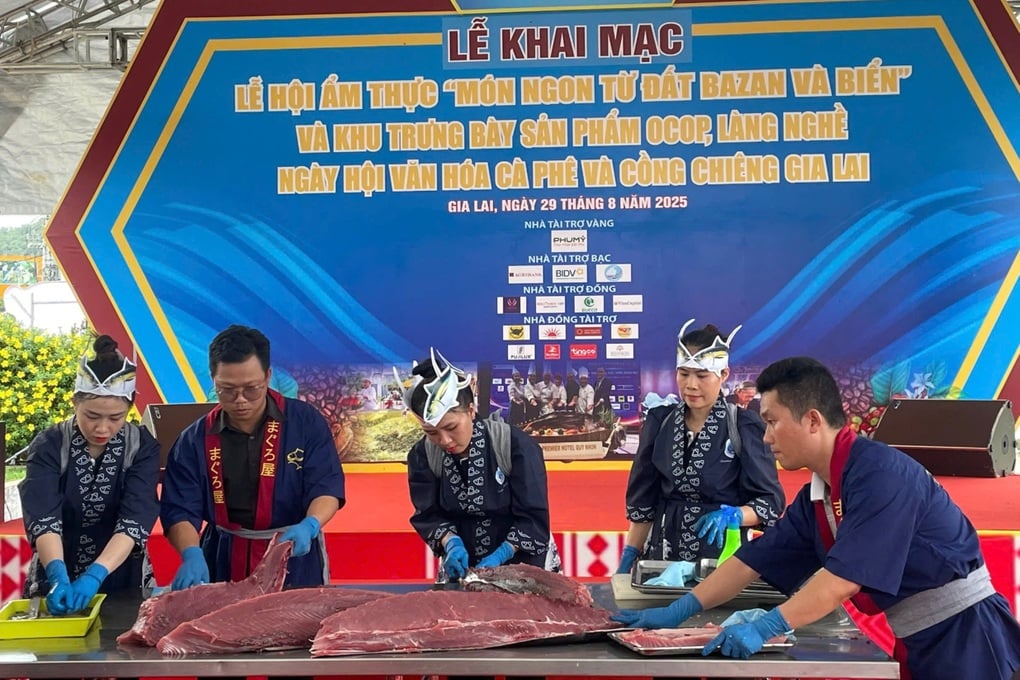 Bản hòa ca từ đại ngàn đến biển xanh giúp du lịch Gia Lai bứt phá - 2
