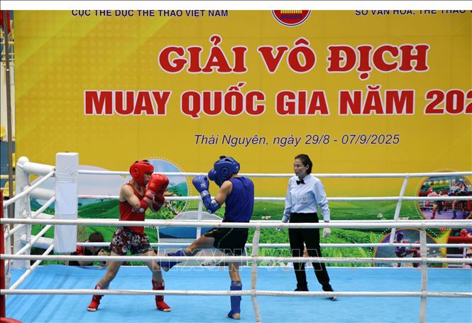 Thái Nguyên: Khai mạc Giải vô địch Muay quốc gia năm 2025 - Ảnh 2.