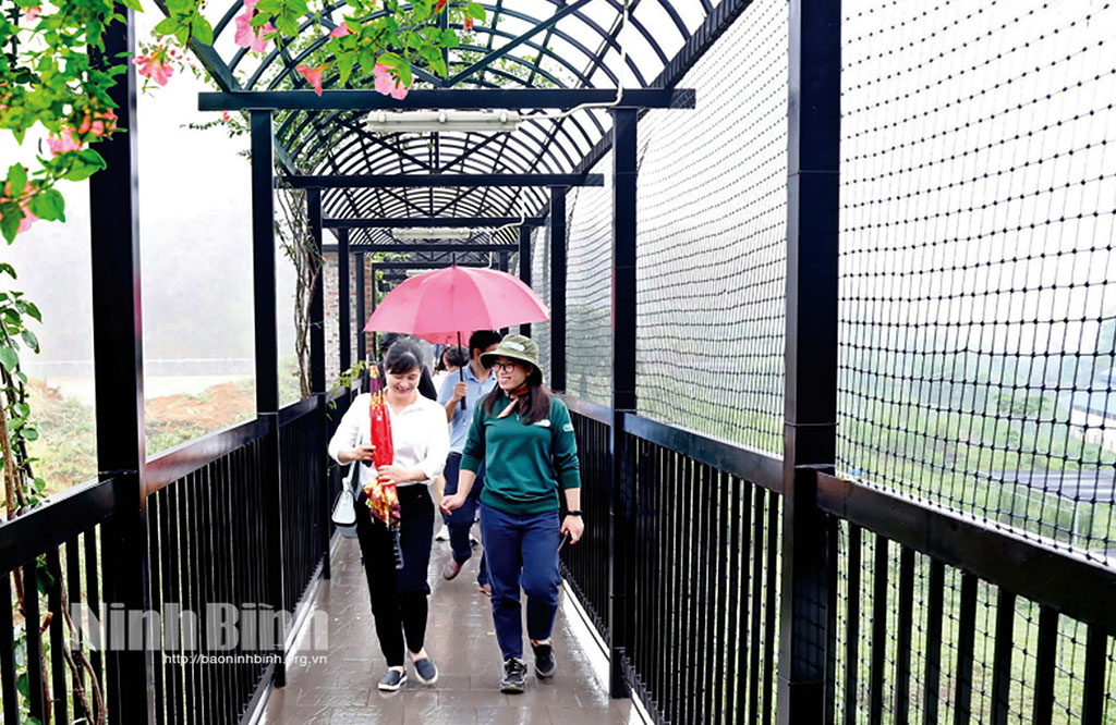 Ninh Binh Bear Sanctuary - An interesting destination for nature and wildlife lovers. Photo: Minh Duong