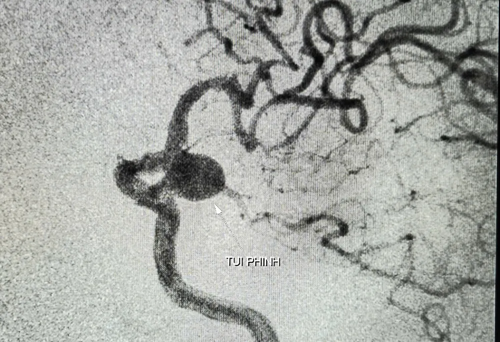 18441d2bda05515b0814.jpg