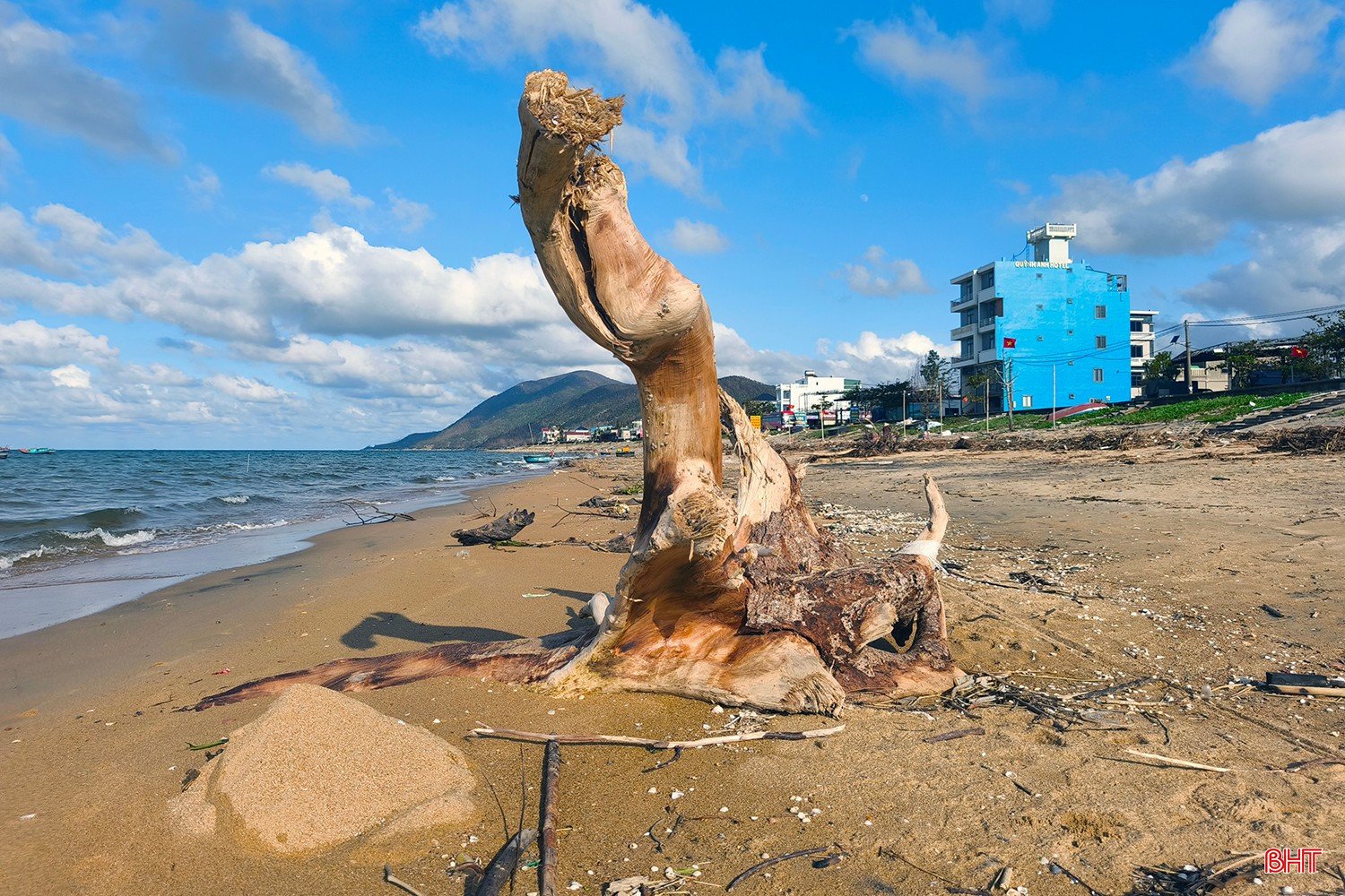 bqbht_br_thien-cam-2c.jpg