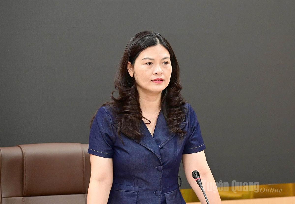 Vice Chairman of the Provincial People's Committee Vuong Ngoc Ha delivered a concluding speech at the meeting.