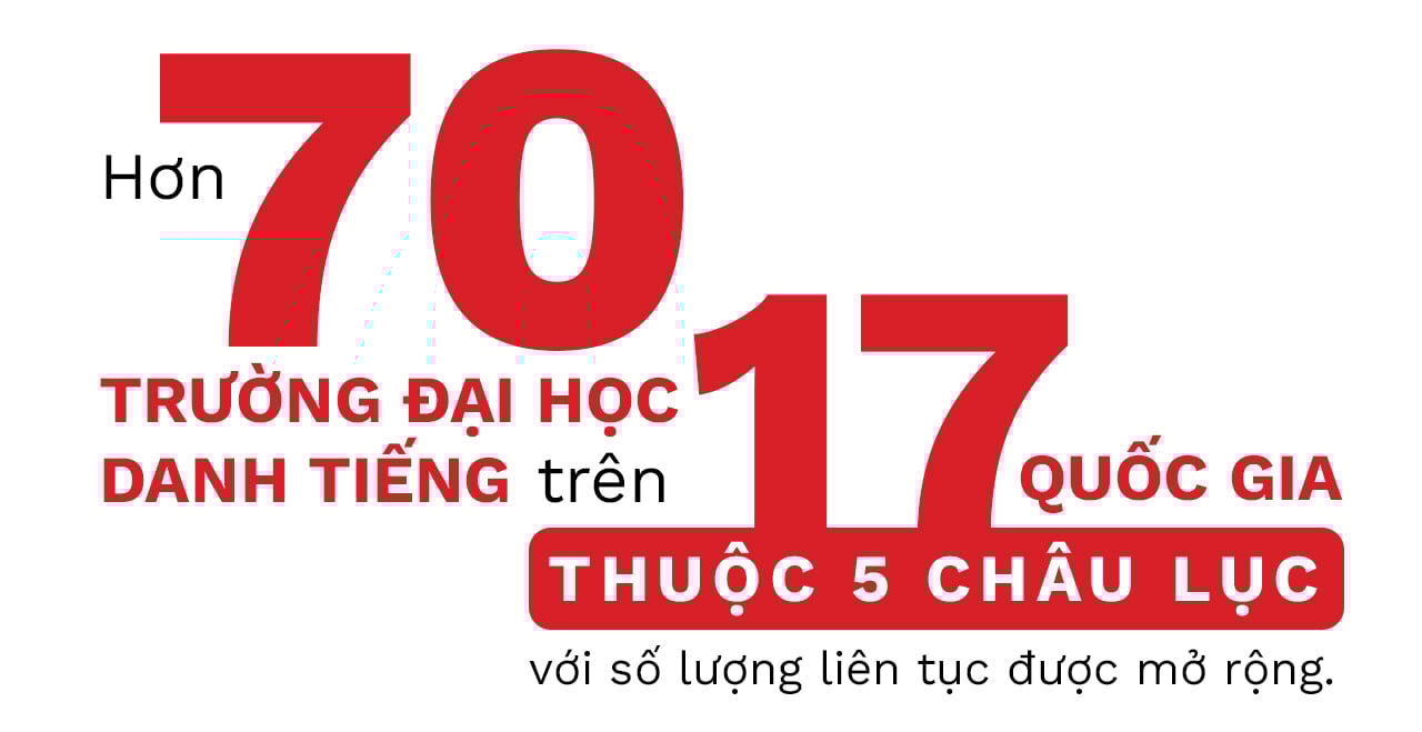 - Ảnh 6.