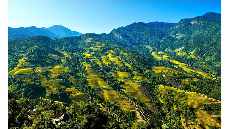 ruong-bac-thang-tung-lieng-xa-bat-xat-nhin-tu-thon-lao-vang-anh-tran-hau.jpg