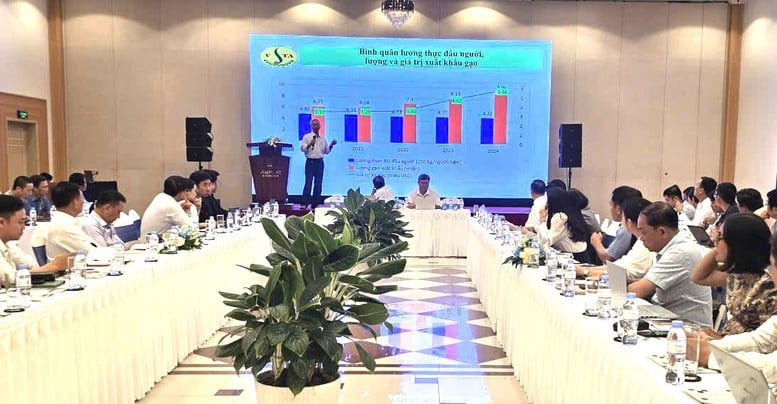 Khoa học công nghệ nâng tầm hạt giống lúa gạo Việt Nam- Ảnh 1.